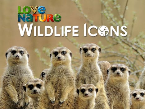 Wildlife Icons Show Image