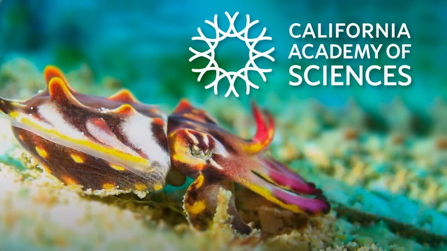 Search all of Sensical's shows and videos!